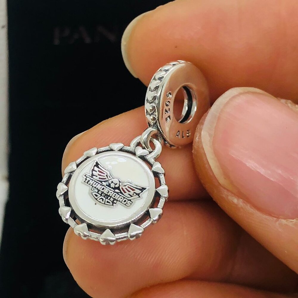 ✨🔥Pandora Custom Carolina Thunderbirds Dangle Charm